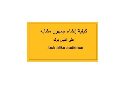 الجمهور-المشابه-Lookalike-Audience.jpg